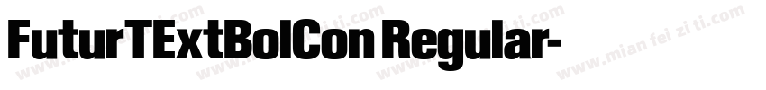 FuturTExtBolCon Regular字体转换